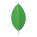 icon-13